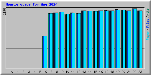 Hourly usage for May 2024