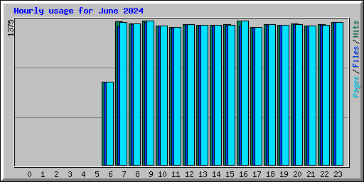 Hourly usage for June 2024