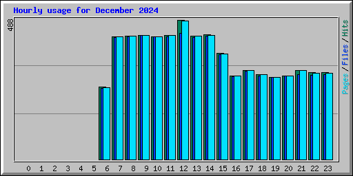 Hourly usage for December 2024