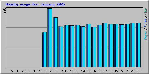 Hourly usage for January 2025