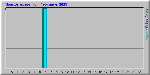 Hourly usage for February 2025