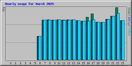Hourly usage for March 2025