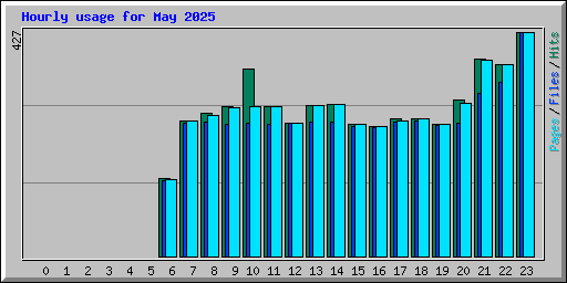 Hourly usage for May 2025