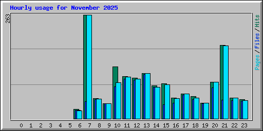 Hourly usage for November 2025