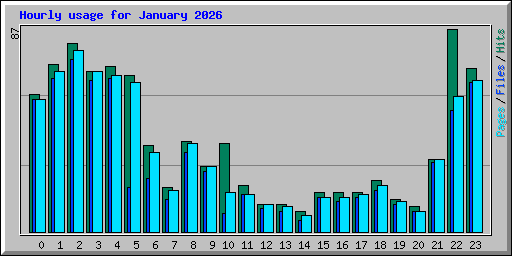 Hourly usage for January 2026