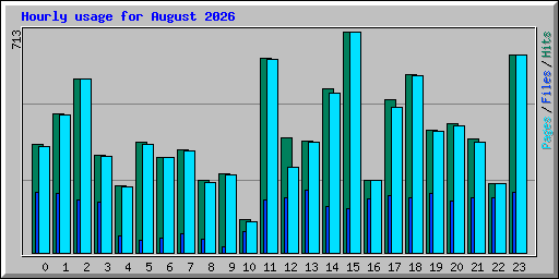 Hourly usage for August 2026